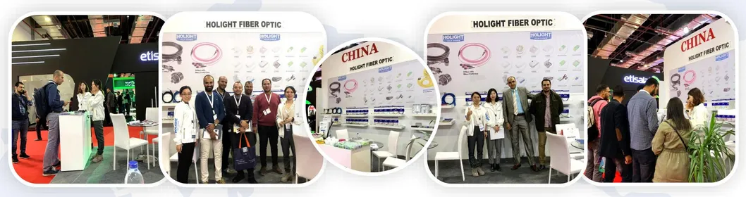 4 Core Plastic ABS FTTX Optical Termination Box (otb)