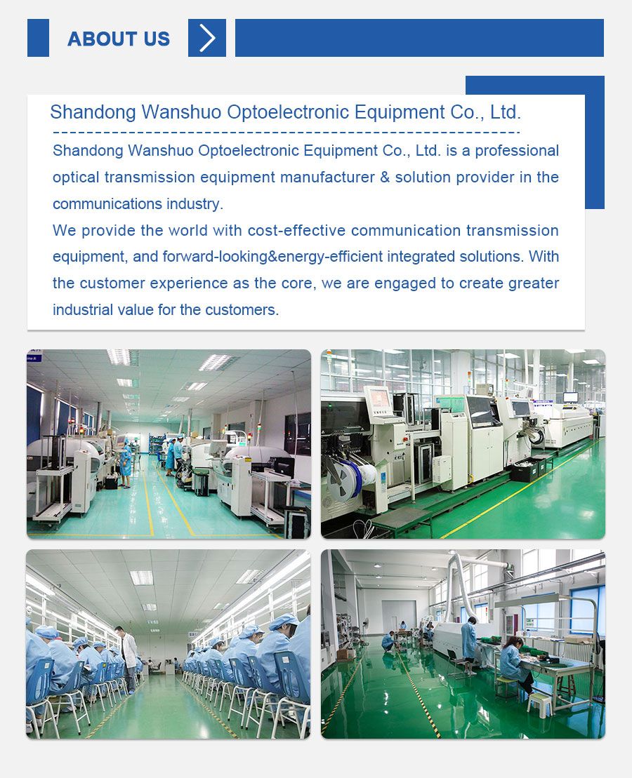 Dbc Wdm Pon EDFA / Optical Amplifier