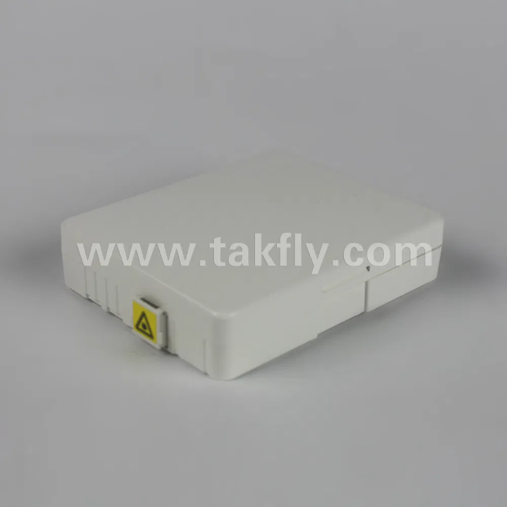 FTTH 2 Ports Fiber Optic Terminal Box with High Quality