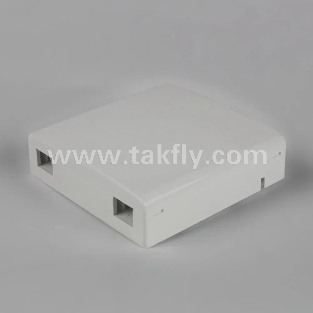 FTTH 2 Ports Optical Fiber Terminal Box with High Quality