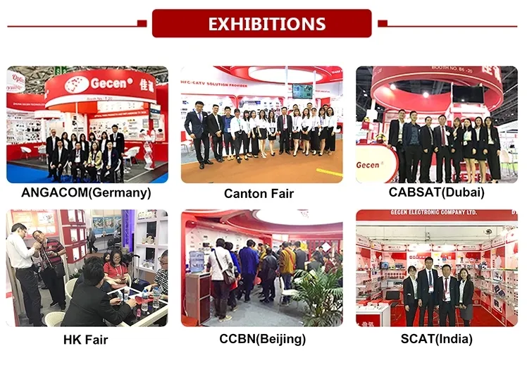 Gecen Original 0.1dB Twin Output LNB