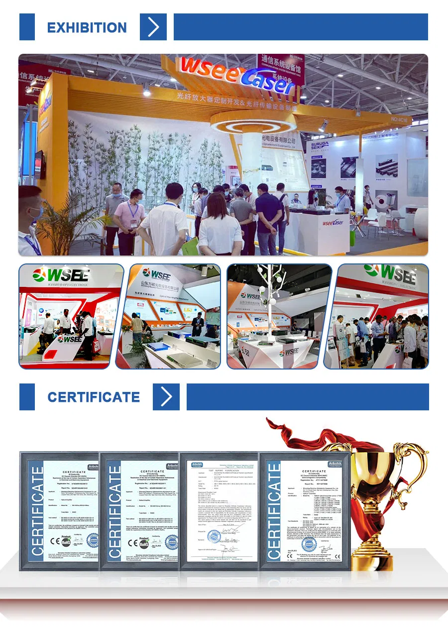 Wsee-56 Series New Jdsu Pump Dual Power Supply 8 Ports 16dBm EDFA with Wdm